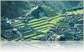 Machu Picchu, Peru on Princess South America Cruisetour